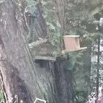 Tiny House In Bos Bij Veluwezoom Rust En Comfort *