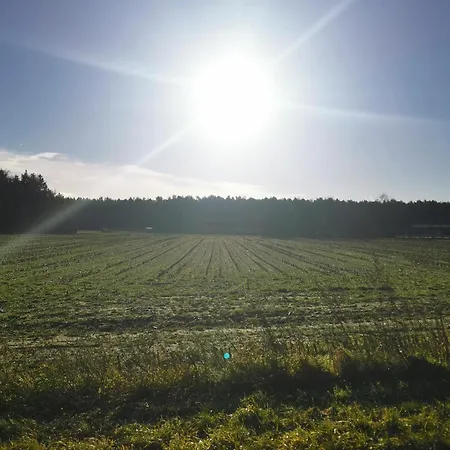 Tiny House In Bos Bij Veluwezoom Rust En Comfort * Hattemerbroek
