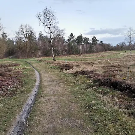 Tiny House In Bos Bij Veluwezoom Rust En Comfort * Hattemerbroek