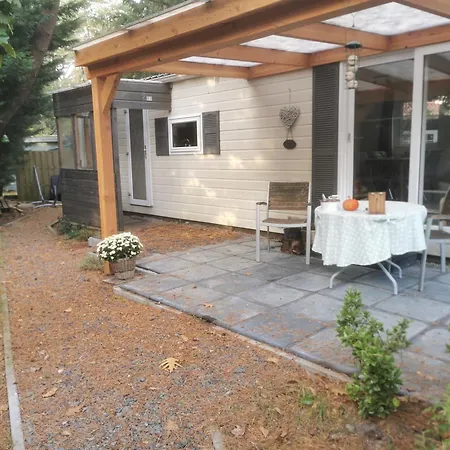 Tiny House In Bos Bij Veluwezoom Rust En Comfort