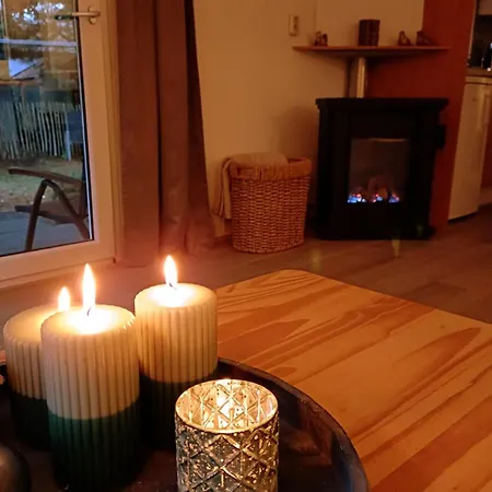 Tiny House In Bos Bij Veluwezoom Rust En Comfort Hattemerbroek
