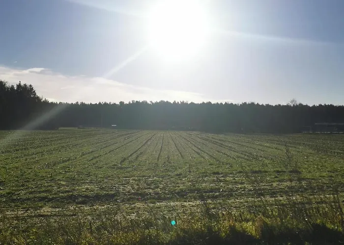 Tiny House In Bos Bij Veluwezoom Rust En Comfort * Hattemerbroek