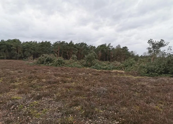 Holiday home Tiny House In Bos Bij Veluwezoom Rust En Comfort Hattemerbroek