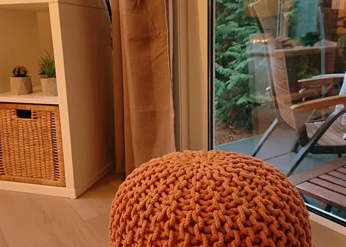 Tiny House In Bos Bij Veluwezoom Rust En Comfort Hattemerbroek