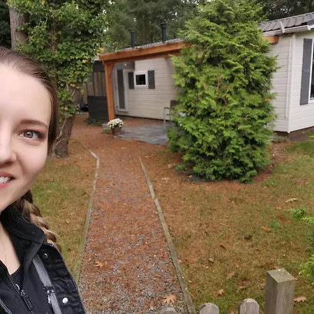 Tiny House In Bos Bij Veluwezoom Rust En Comfort Hattemerbroek