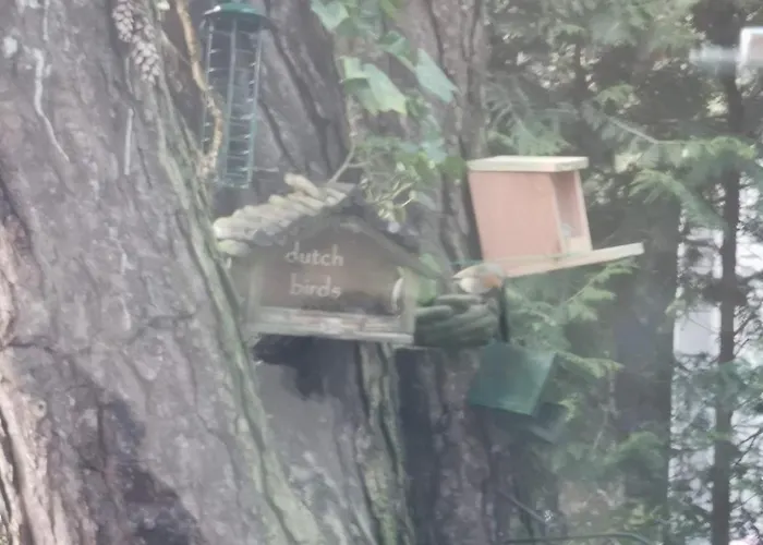 Tiny House In Bos Bij Veluwezoom Rust En Comfort *