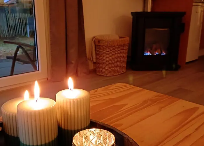 Tiny House In Bos Bij Veluwezoom Rust En Comfort Hattemerbroek