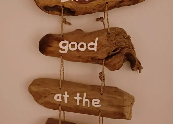 Tiny House In Bos Bij Veluwezoom Rust En Comfort Hattemerbroek